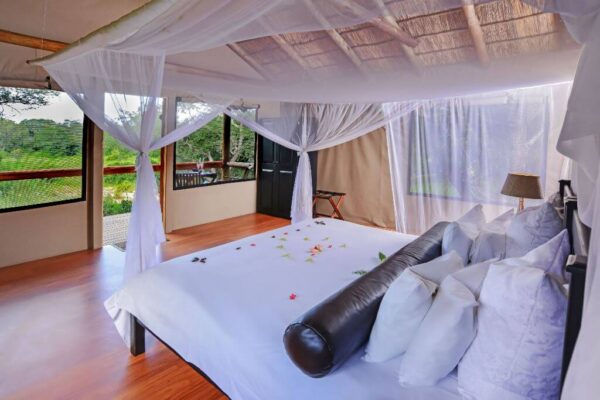 Chisomo Safari Camp Karongwe Private Game Reserve