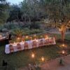 Chisomo Safari Camp Karongwe Private Game Reserve